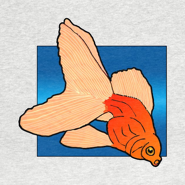 Oranda goldfish by Shyflyer